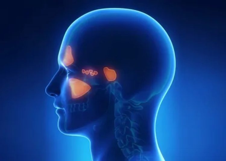 شناخت بیماری سینوس گوش