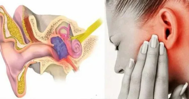 بیماری های گوش