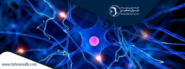 درمان کم شنوایی با سلول بنیادی