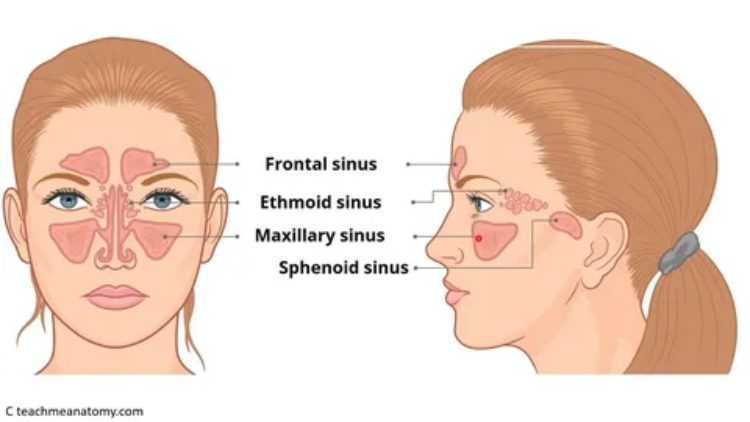 شناخت بیماری سینوس گوش